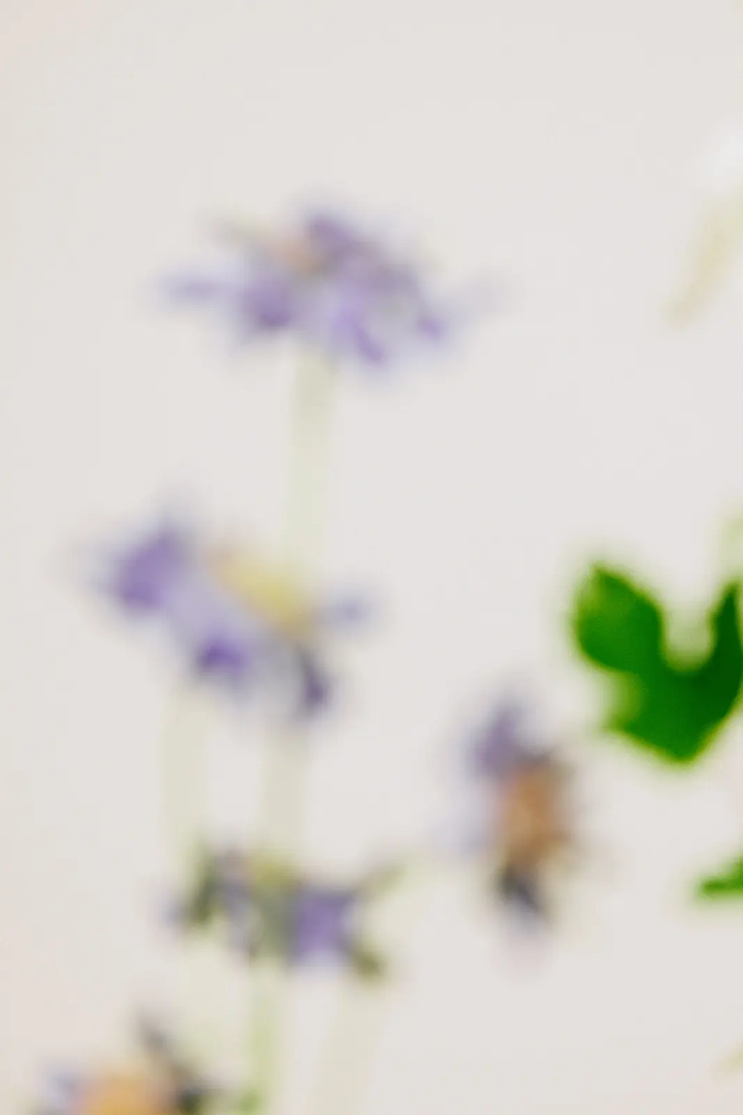 Floral arrangement by Blossomer Floral