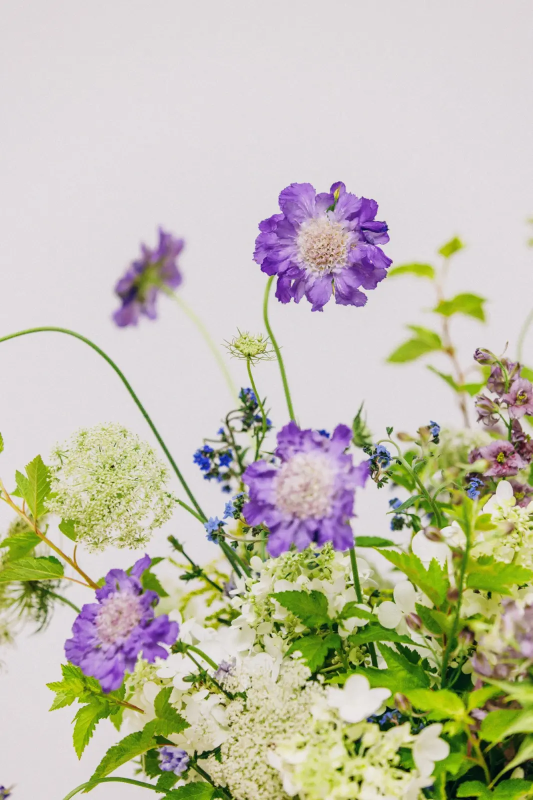 Floral arrangement by Blossomer Floral